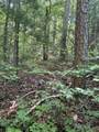 3 Old Furnace Road - Photo 12