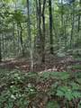 3 Old Furnace Road - Photo 13