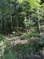 3 Old Furnace Road - Photo 3