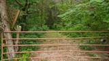 0 Morgan Rd - Photo 15