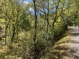 440 Big Spring Hollow Rd - Photo 5