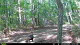 0 Valley View Dr - Photo 19