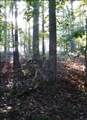 2812 Union Hill Rd - Photo 6