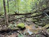 154 Summit Trails Drive - Photo 4