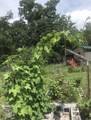 2071 Deer Creek Rd - Photo 36