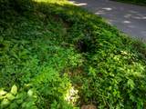 0 Round Barn Rd - Photo 32