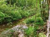 1639 Eucalyptus Dr - Photo 40
