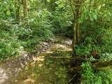 1639 Eucalyptus Dr - Photo 44
