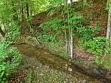 1639 Eucalyptus Dr - Photo 45