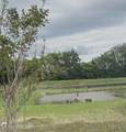 4802 Turquoise Ln - Photo 7