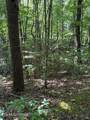 4 Old Furnace Rd - Photo 13