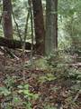 4 Old Furnace Rd - Photo 4