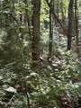 4 Old Furnace Rd - Photo 6