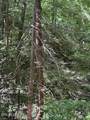 4 Old Furnace Rd - Photo 7