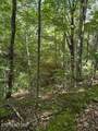 4 Old Furnace Rd - Photo 9
