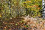 4300 Bull Run Rd - Photo 30