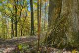 4300 Bull Run Rd - Photo 31