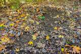 4300 Bull Run Rd - Photo 43
