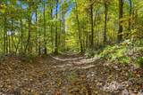 4300 Bull Run Rd - Photo 45