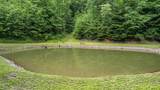 201 Campbell Branch Road - Photo 62