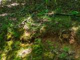 0 Mcghee Rd - Photo 38