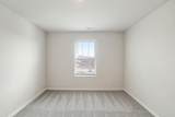 1653 Manuka Ln - Photo 51