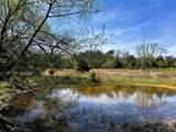 175 County Road 571 - Photo 7