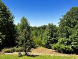 161 Willie Shell Road - Photo 5
