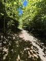 161 Willie Shell Road - Photo 47