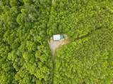 161 Willie Shell Road - Photo 53