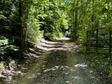 161 Willie Shell Road - Photo 59