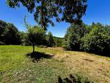 161 Willie Shell Road - Photo 60