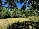 161 Willie Shell Road - Photo 61
