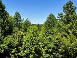 161 Willie Shell Road - Photo 62