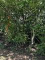 573 S Judd Road - Photo 21