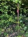 573 S Judd Road - Photo 33