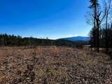 107125 Chestnut Mountain Road - Photo 3