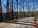 107125 Chestnut Mountain Road - Photo 8
