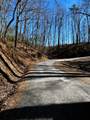 107125 Chestnut Mountain Road - Photo 9