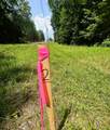 2 Highway 304 - Photo 12