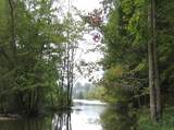 15 Watauga Lane - Photo 11