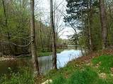 15 Watauga Lane - Photo 4