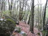 15 Watauga Lane - Photo 7