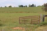 1163 County Road 461 - Photo 3