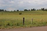 1163 County Road 461 - Photo 4