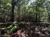 34 State Highway 304 - Photo 20