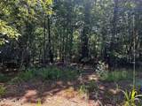 34 State Highway 304 - Photo 31