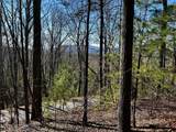 107125 Chestnut Mountain Rd - Photo 2