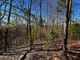 107125 Chestnut Mountain Rd - Photo 15