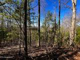 107125 Chestnut Mountain Rd - Photo 19